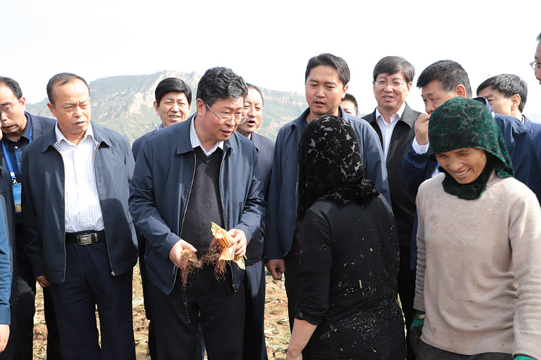 全省牛羊产业扶贫暨粮改饲现场推进会在临夏召开