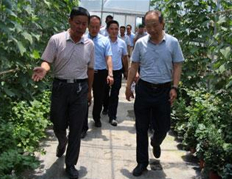省农牧厅副厅长杨祁峰督导调研兰州市产业扶贫工作