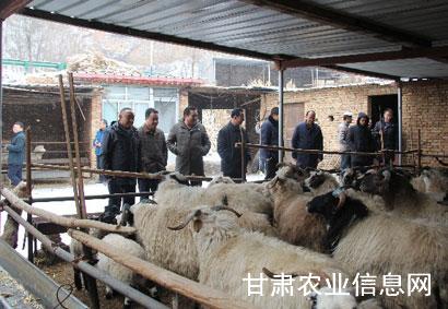 省农机化技术推广总站赴临夏开展畜禽粪污机械化清理技术调研