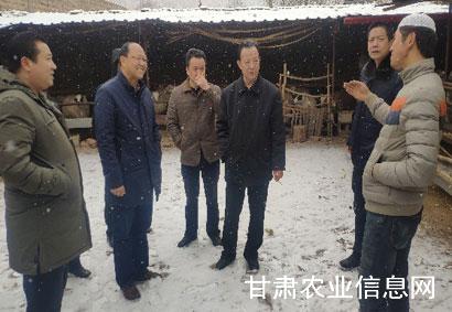 省农机化技术推广总站赴临夏开展畜禽粪污机械化清理技术调研