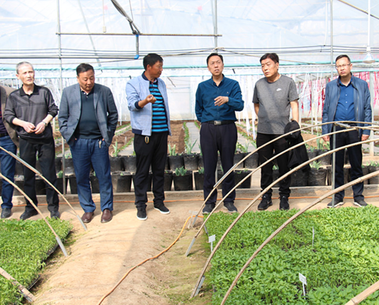 秦州区水肥一体化技术在全省蔬菜产品扶贫现场会上成亮点