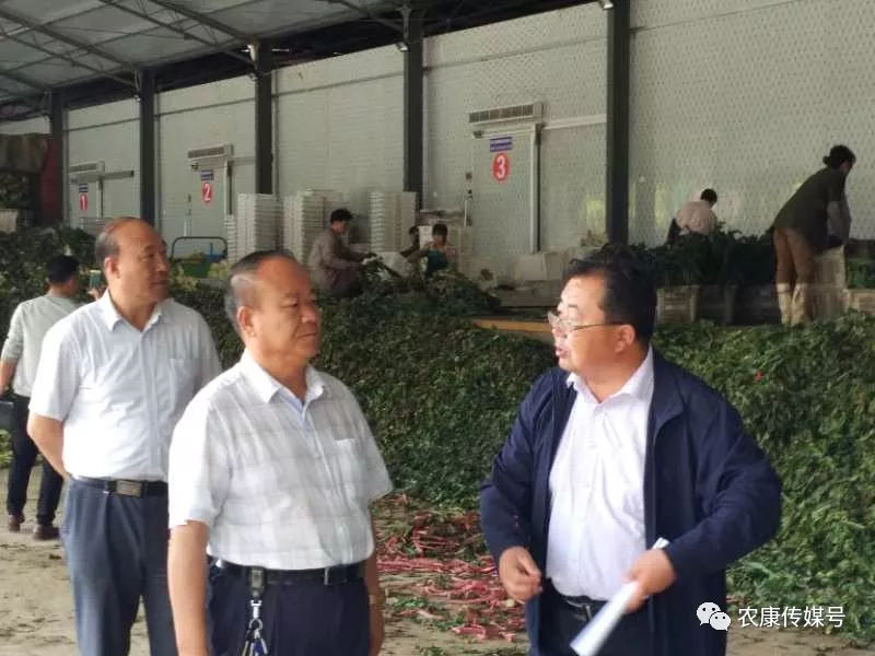 甘肃省农牧厅第八督查组督导天祝县产业扶贫工作