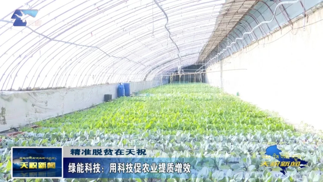 绿能科技：用科技促农业提质增效