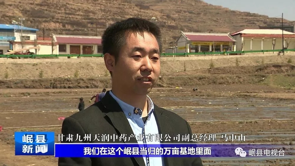 岷县：万亩中药材标准化种植基地建设带动群众增收致富