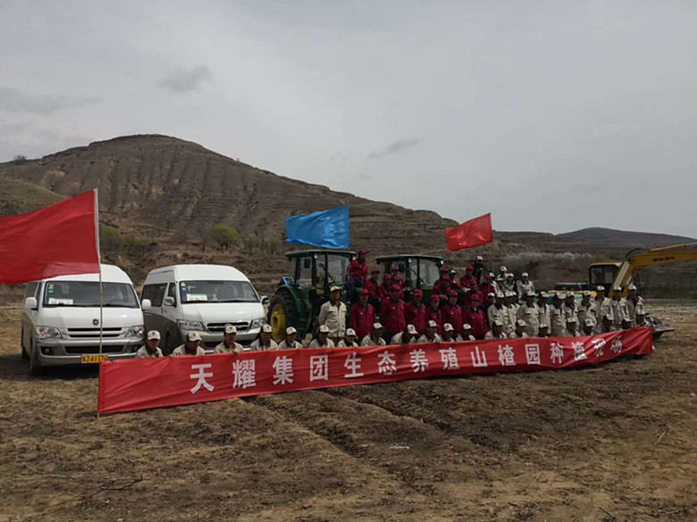 天耀集团建设500亩山楂园打造生态养殖