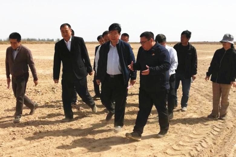 李旺泽在敦煌调研高效节水农业和高标准农田建设工作