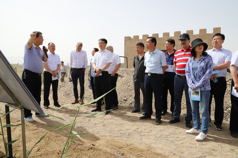 中丹战略合作二期项目暨人工湿地技术研讨会在敦煌召开