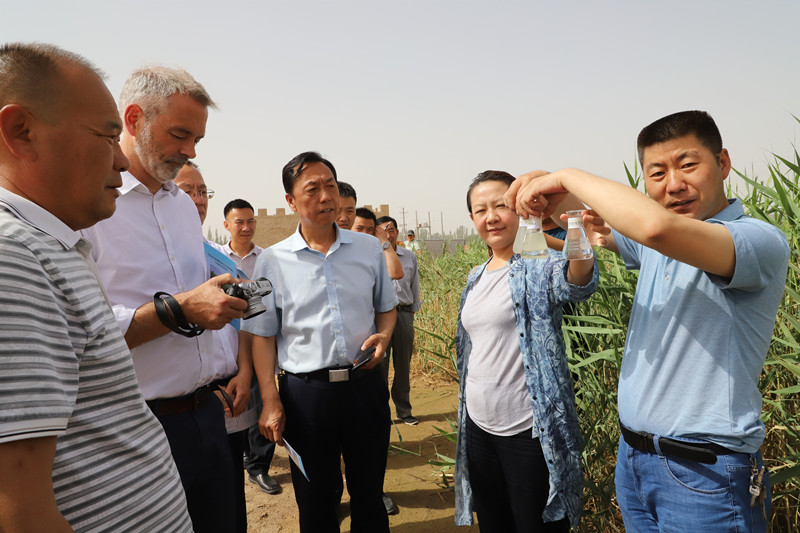 中丹战略合作二期项目暨人工湿地技术研讨会在敦煌召开