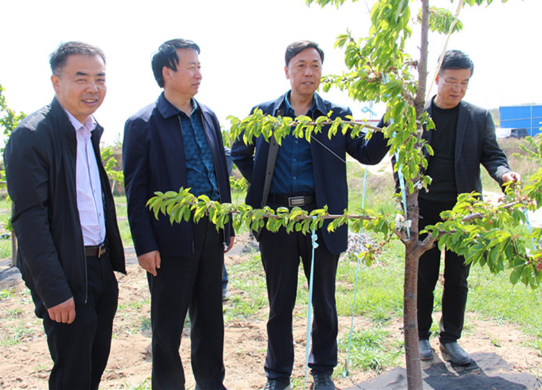 省耕管站站长崔增团一行调研秦州区土肥水工作