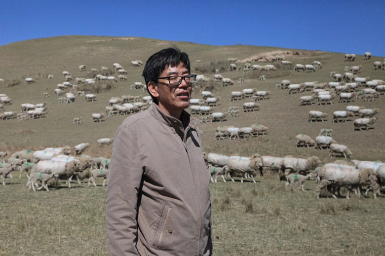 祁连山下育“美羊” 我们永远在路上
