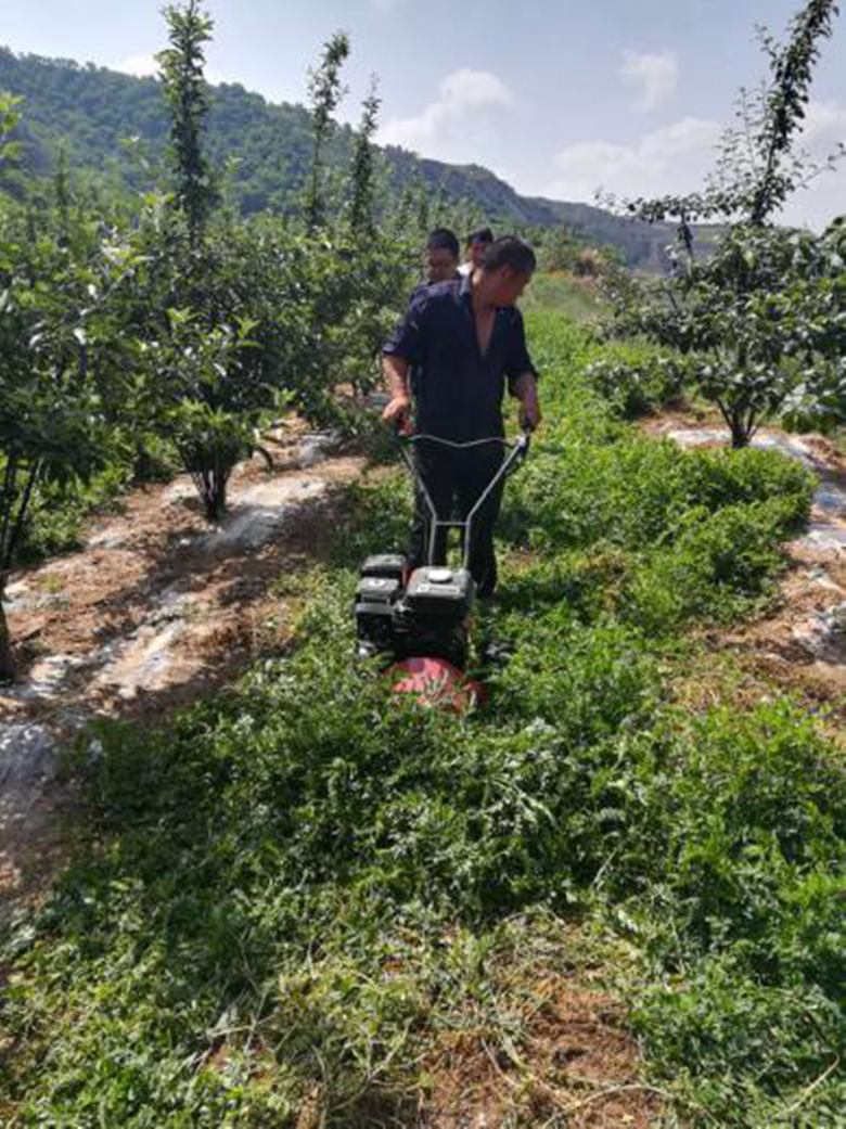 麦积区农技中心积极开展苹果有机肥替代化肥项目物资发放工作