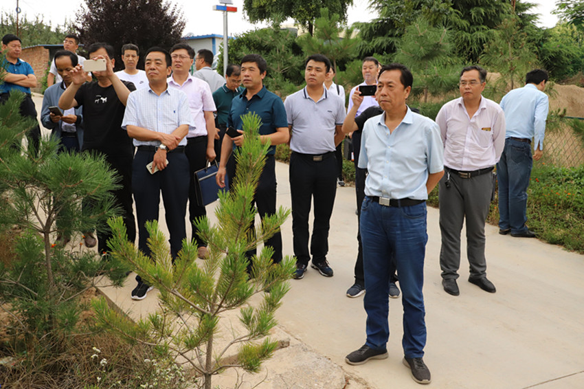 2019年果菜茶有机肥替代化肥项目方案审定暨工作推进会在麦积区召开