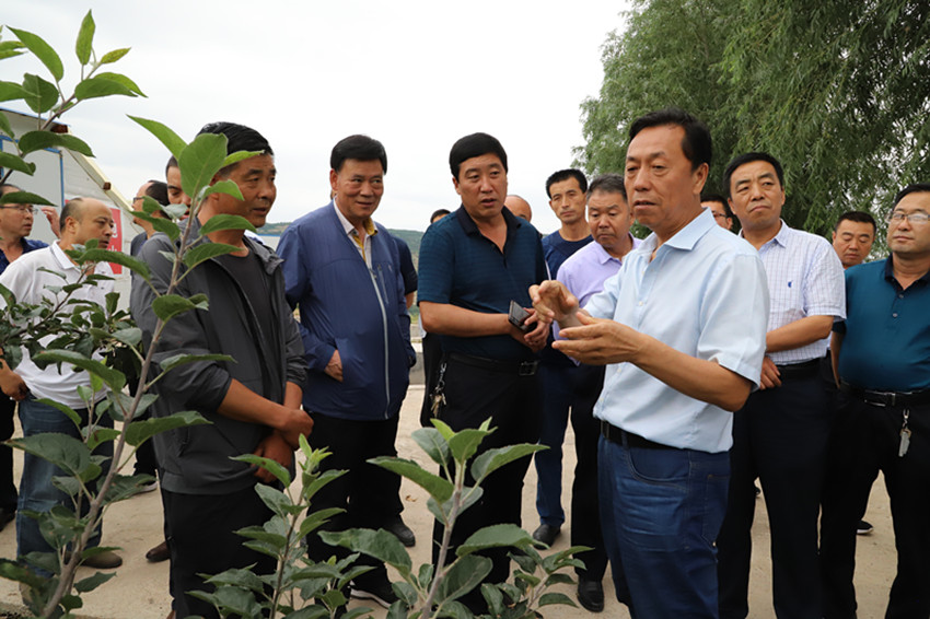 2019年果菜茶有机肥替代化肥项目方案审定暨工作推进会在麦积区召开