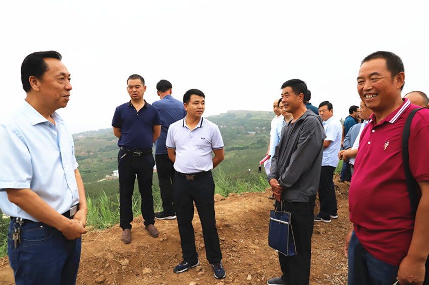 2019年果菜茶有机肥替代化肥项目方案审定暨工作推进会在麦积区召开