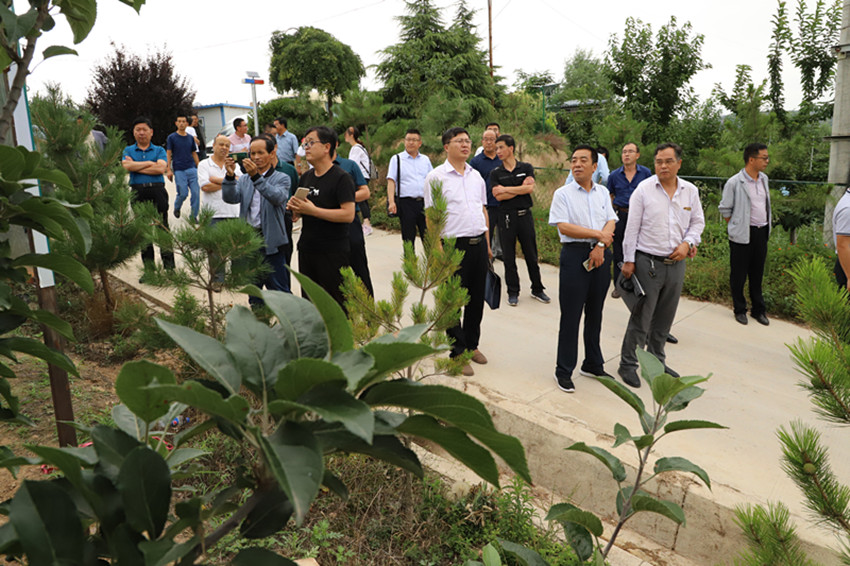 2019年果菜茶有机肥替代化肥项目方案审定暨工作推进会在麦积区召开