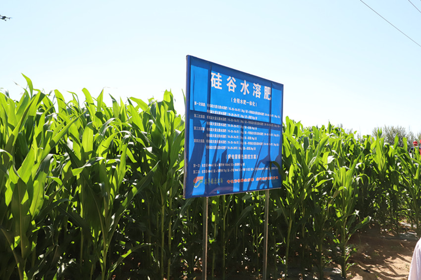 八一农场耕地质量提升与盐碱地改良项目进展顺利