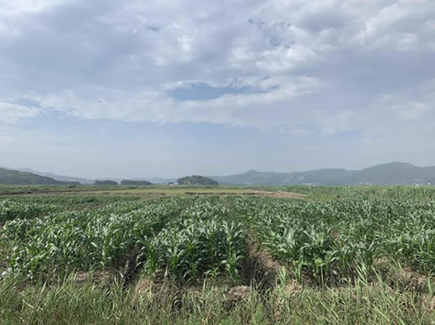 玉门龙川高科公司参与温岭市担屿围涂造田造地工程改造盐碱地