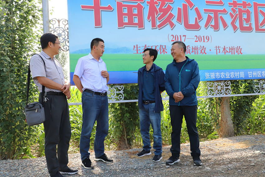 张掖市耕管站站长毛涛一行调研甘州区有机肥替代化肥示范推广奖补项目