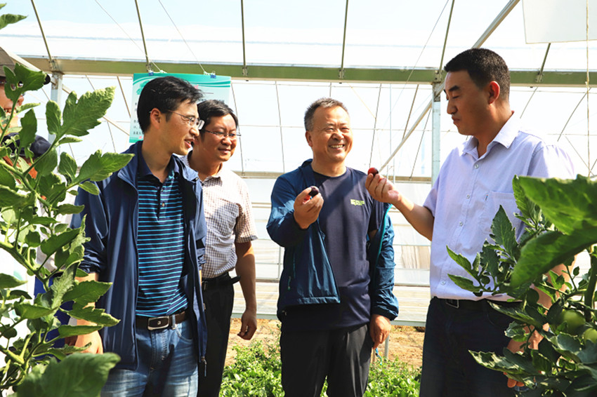 张掖市耕管站站长毛涛一行调研甘州区有机肥替代化肥示范推广奖补项目