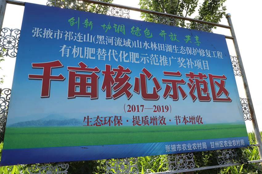 张掖市耕管站站长毛涛一行调研甘州区有机肥替代化肥示范推广奖补项目
