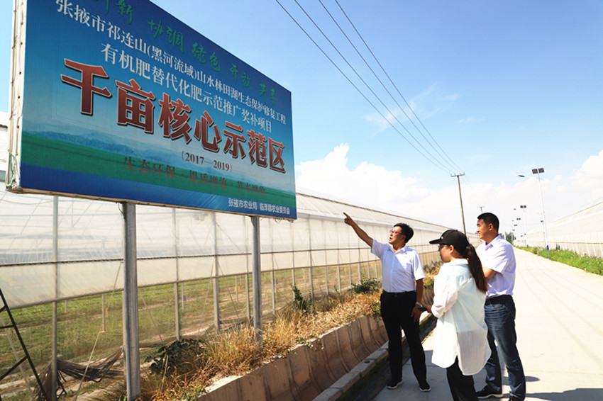 张掖市耕管站站长毛涛一行调研临泽县有机肥替代化肥示范推广奖补项目实施情况