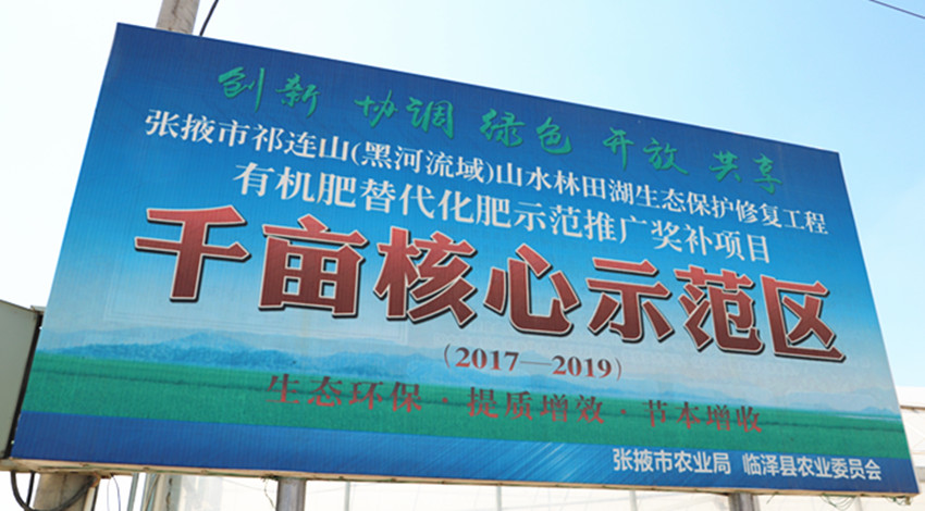 张掖市耕管站站长毛涛一行调研临泽县有机肥替代化肥示范推广奖补项目实施情况