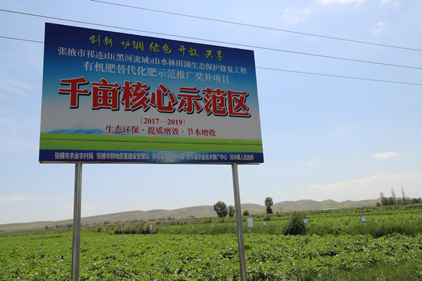 张掖市耕管站站长毛涛一行调研民乐县有机肥替代化肥示范推广奖补项目进展情况