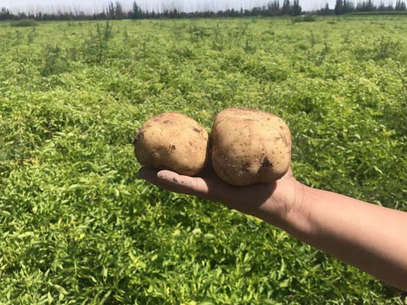 省耕管总站站长崔增团一行赴临夏定西调研耕地质量提升项目等工作