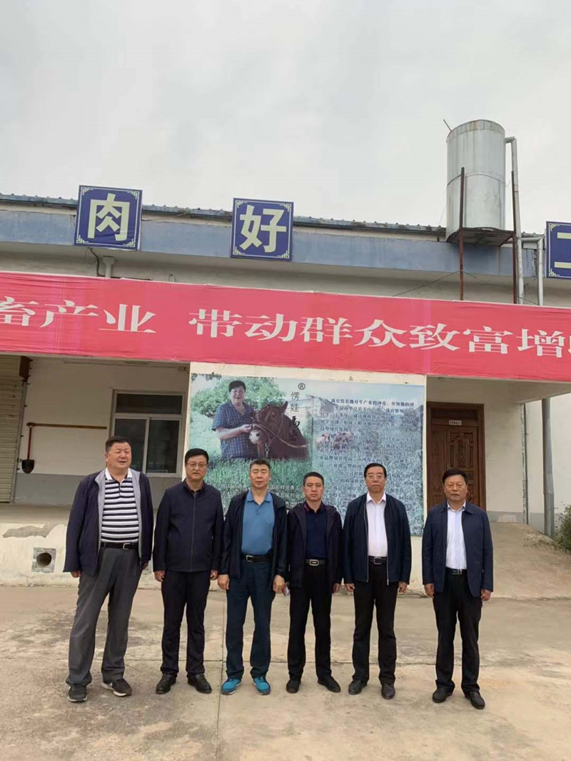 省农业农村厅巡视员阎奋民一行赴华亭市调研宏源牧业