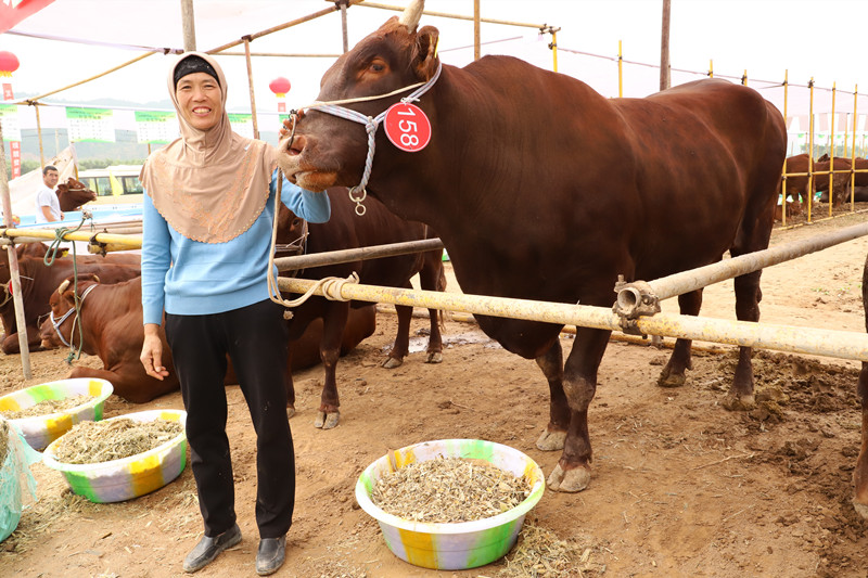 全省牛产业助推脱贫攻坚现场推进会在平凉召开