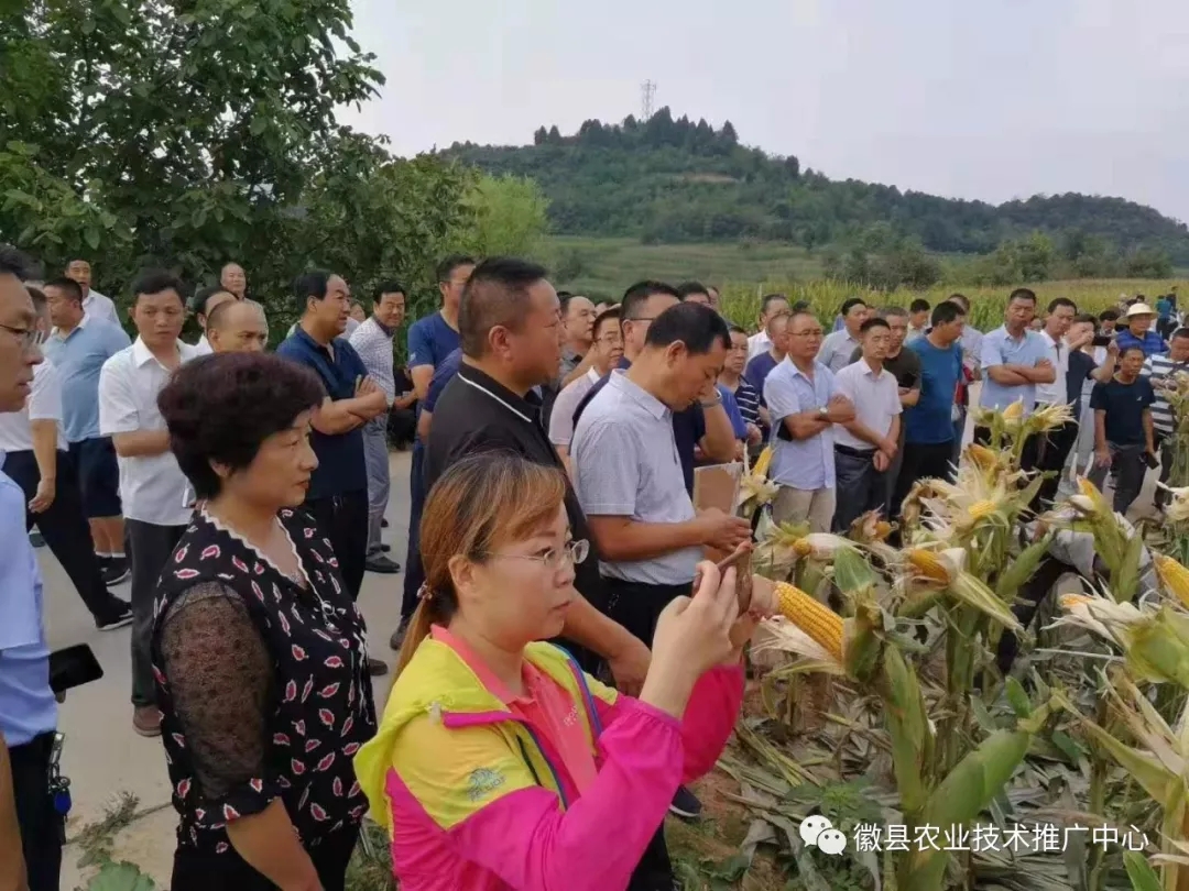 陇南市农技推广工作会议在徽县成功召开
