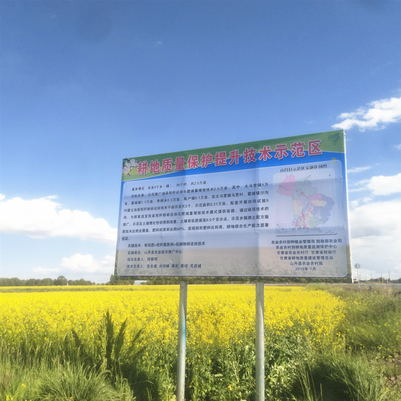 山丹县耕地质量提升项目区2.5万亩油菜喜获丰收