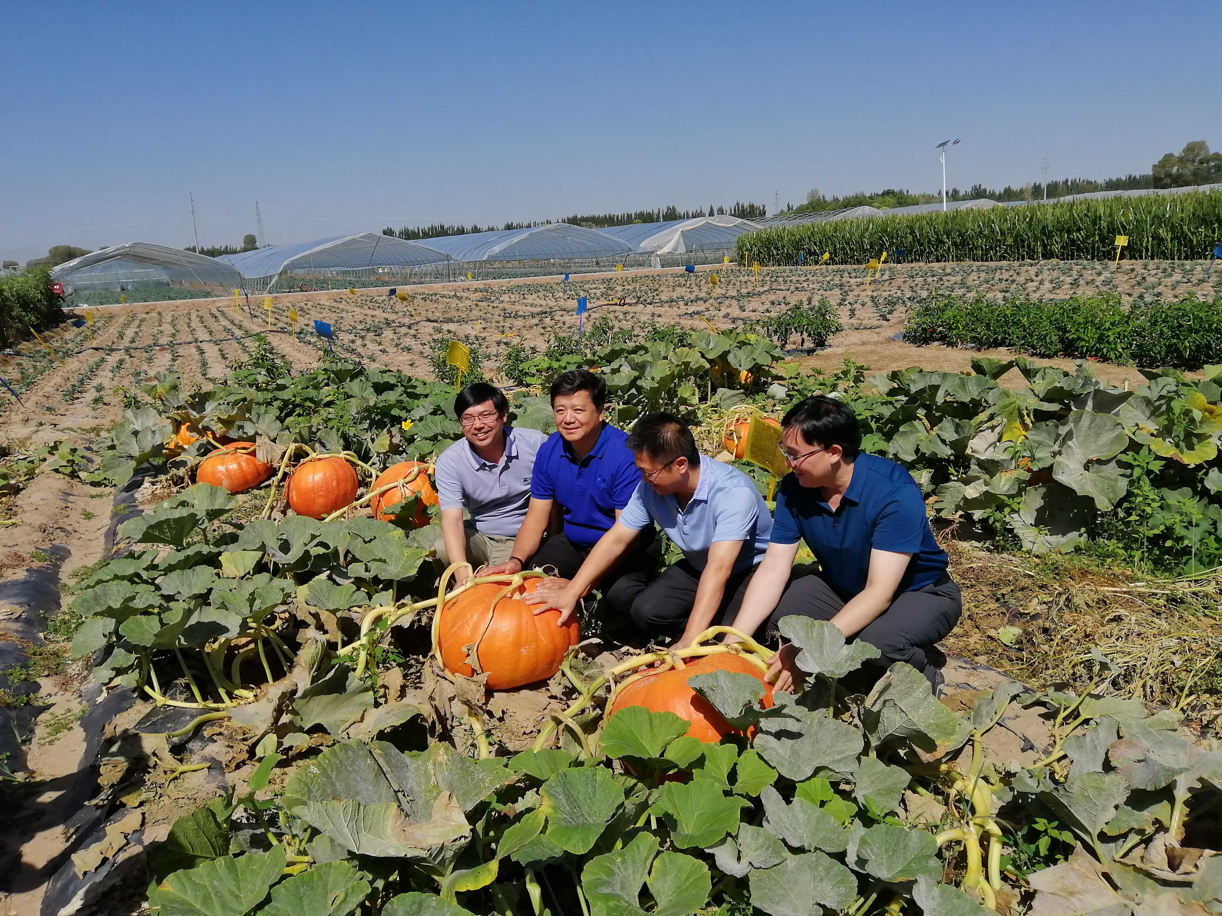 农业农村部耕地质量监测保护中心赴张掖市调研耕地质量监测体系建设工作
