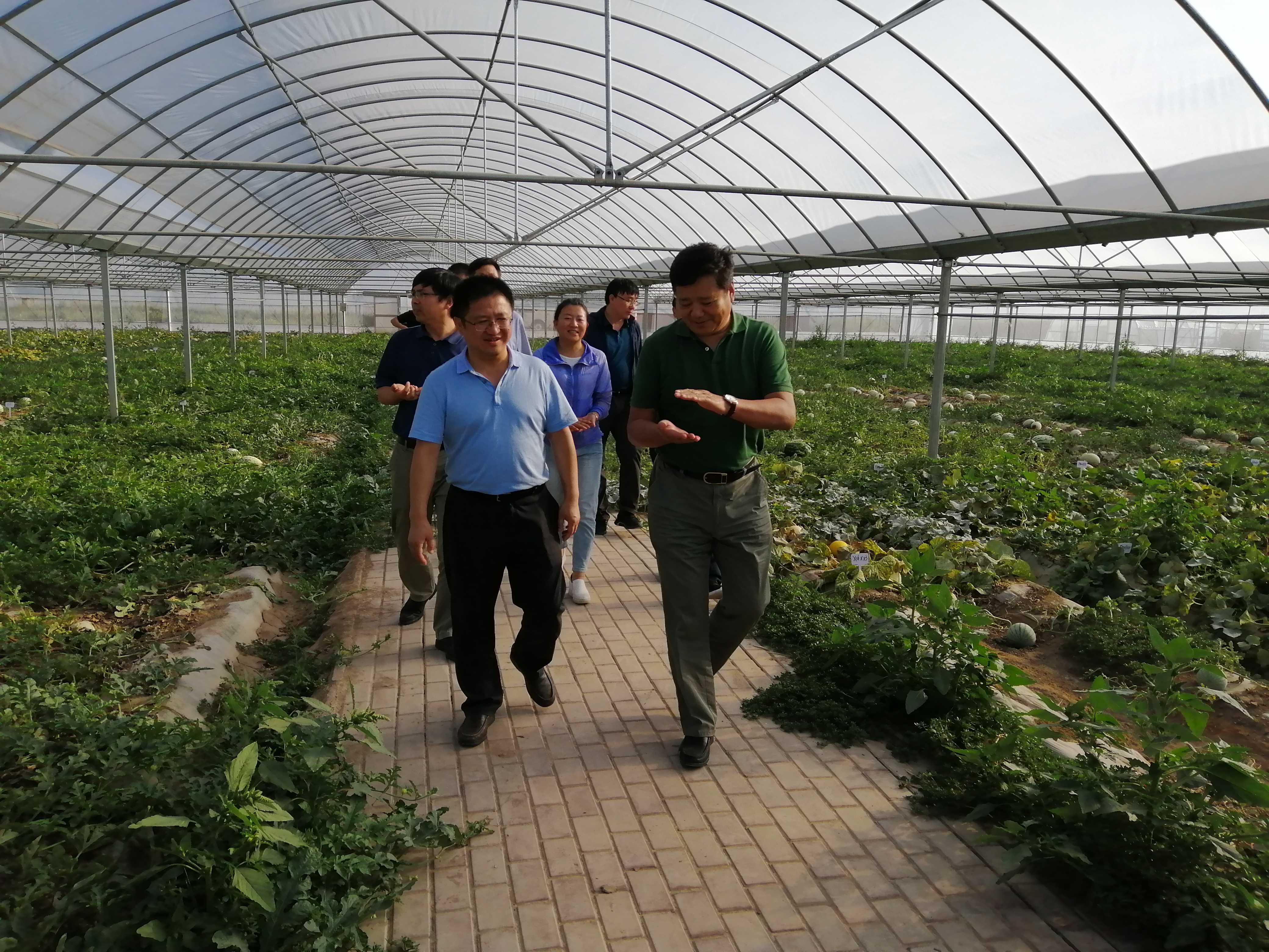 农业农村部耕地质量监测保护中心赴张掖市调研耕地质量监测体系建设工作