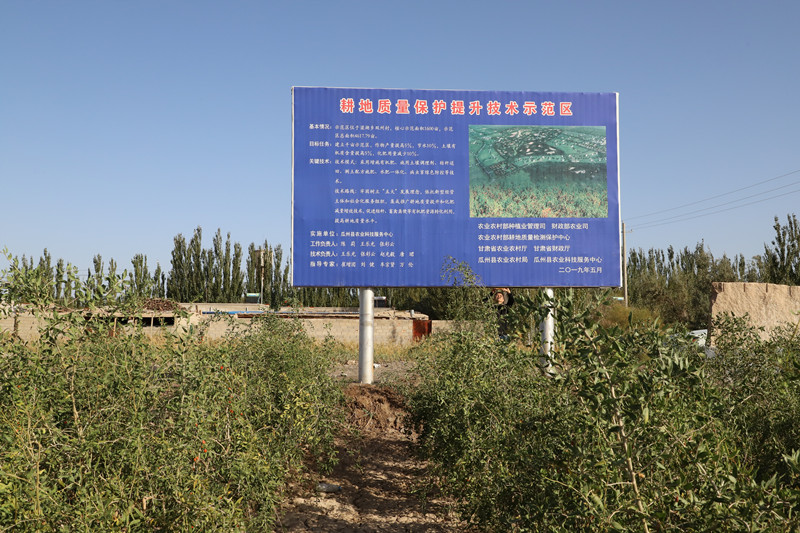 瓜州县实施耕地质量提升和水肥一体化项目成效显著
