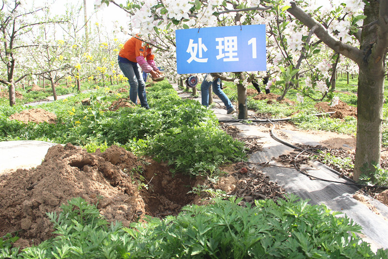 今年秦州区耕地质量提升项目补贴资金315万元