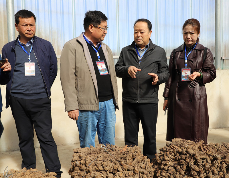 全省中药材绿色标准化基地建设及机械化收获现场会在宕昌县召开