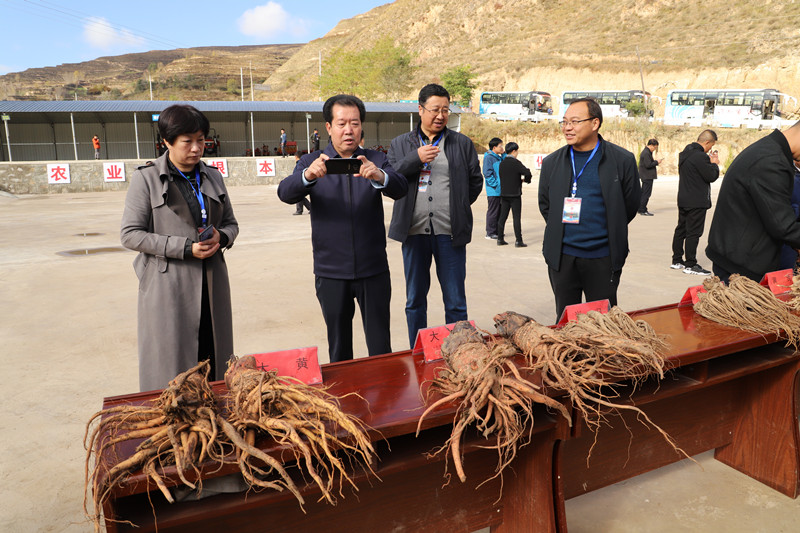 全省中药材绿色标准化基地建设及机械化收获现场会在宕昌县召开