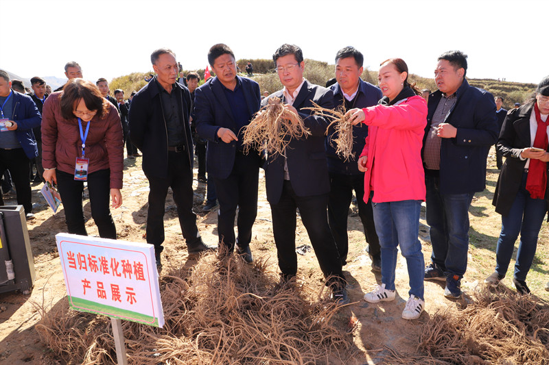 全省中药材绿色标准化基地建设及机械化收获现场会在宕昌县召开