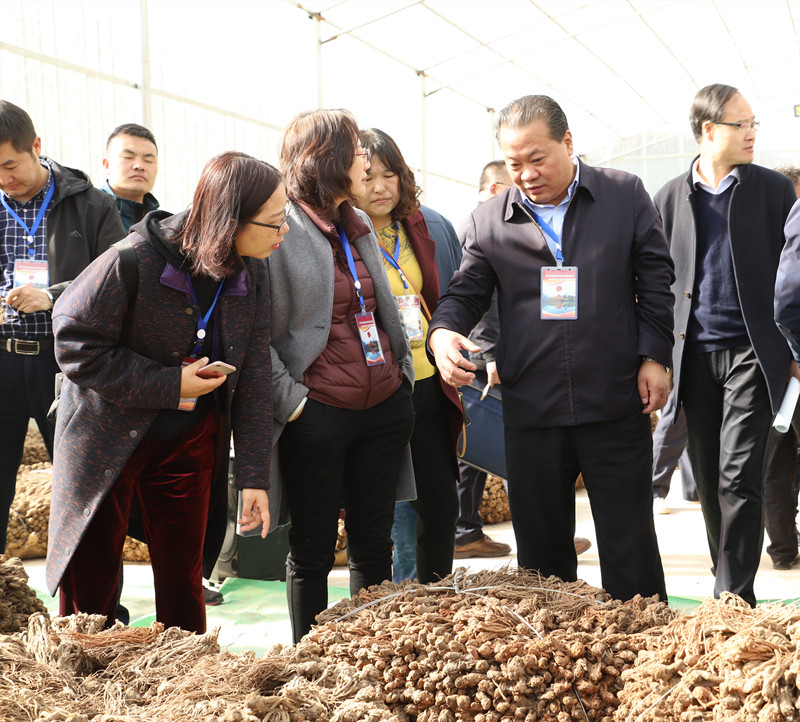 惠森药业建基地签订单带动农民精准奔小康