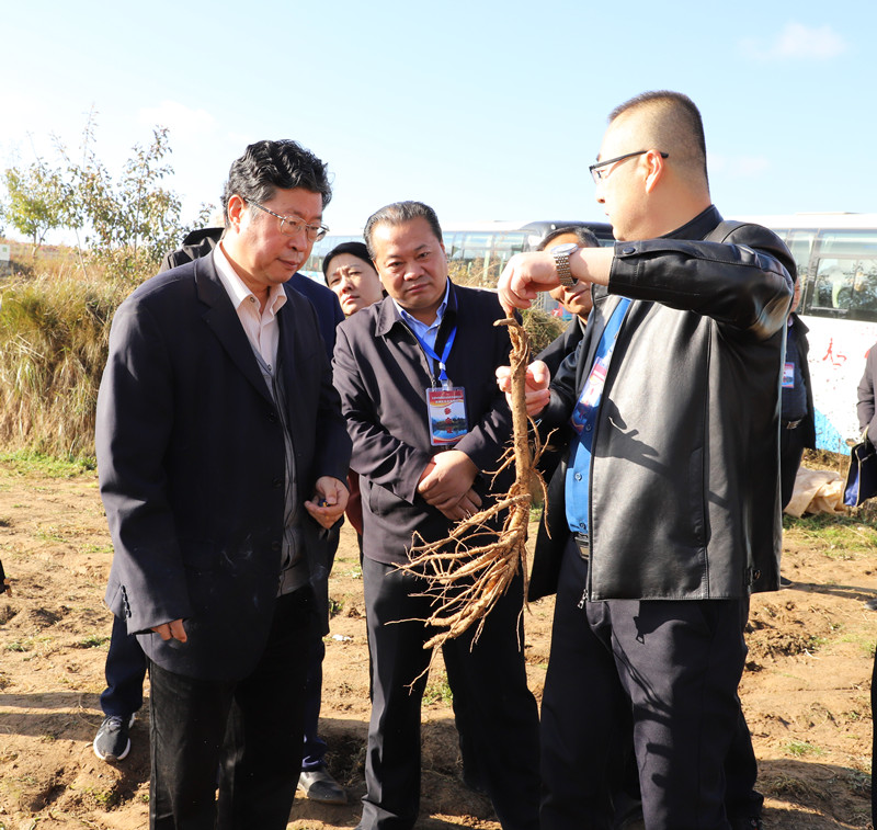惠森药业建基地签订单带动农民精准奔小康