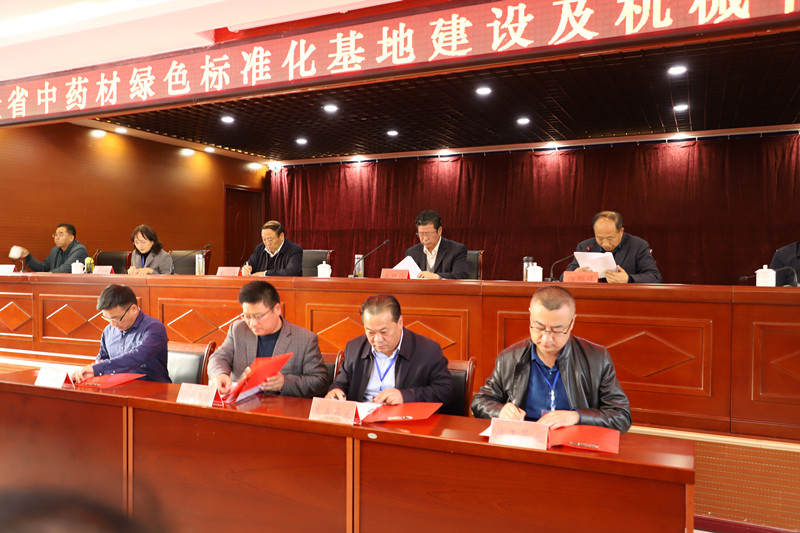 惠森药业建基地签订单带动农民精准奔小康