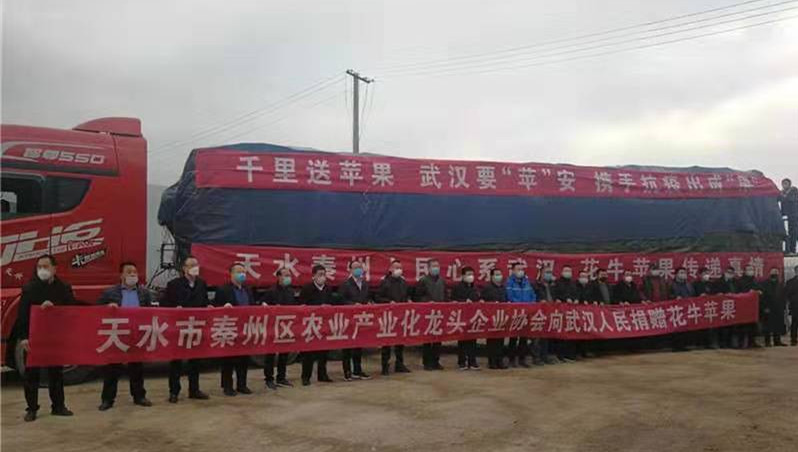 秦州区：千里送苹果 武汉要“苹”安 携手抗疫出成“果”