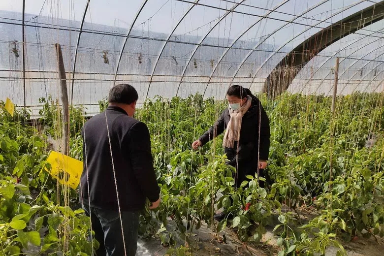 高台县农业农村局三措并举统筹抓好疫情防控和涉农企业复工复产