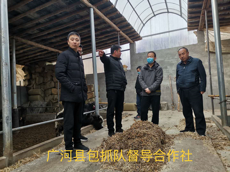 省农业农村厅督导组赴广河县开展督导工作