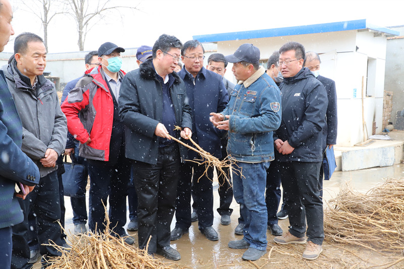 李旺泽厅长调研陇西县万亩中药材绿色有机标准化药源基地建设