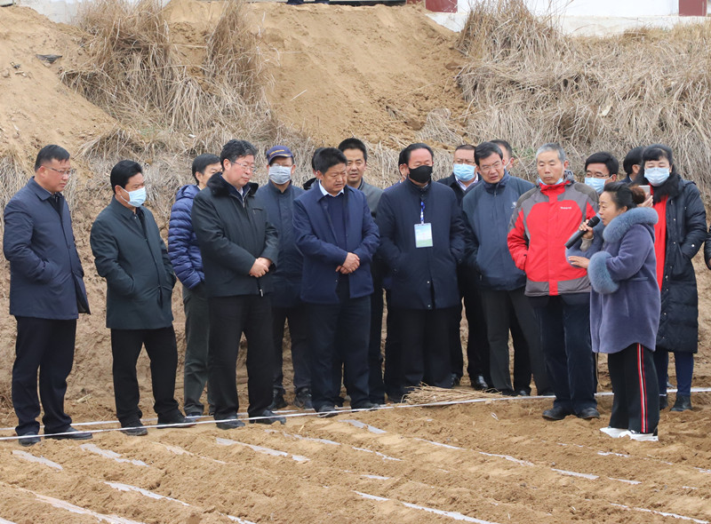 全省中药材绿色标准化示范基地建设（陇西）现场会召开