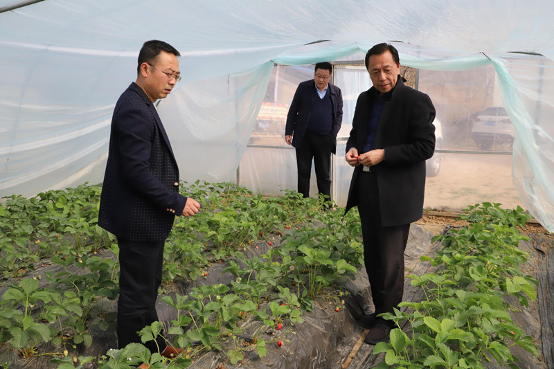 麦积区今年将推广旱作节水农业垄膜沟灌技术面积2万亩