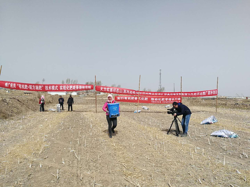 民乐：用好耕地保护“加减法”助推乡村振兴有实效