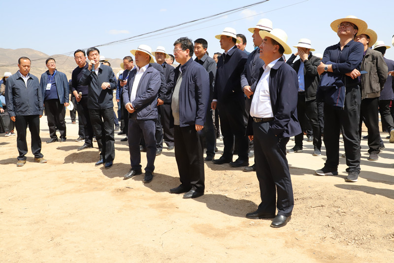 全省马铃薯绿色标准化示范基地建设现场会在定西召开